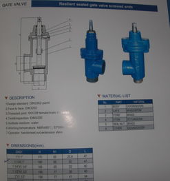 圖片是什么閥門(mén) 哪個(gè)工廠可以生產(chǎn)
